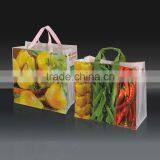Customized Laundry PP Spunbonded Non Woven Bag Price thumbnail-2
