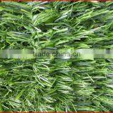 2013 Supplies Garden Buildings All Kinds of Garden Fence Gardening Expressway Wire Mesh Fences thumbnail-1