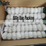 Shandong New Garlic Price of Sale thumbnail-2