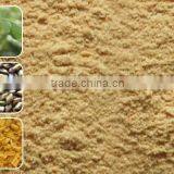 Cassia tora splits CTS and Cassia Tora Seeds From India