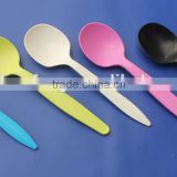 100%biodegradable compostable spoon, FDA corn starch 6 inch spoon, 13cm length spoon