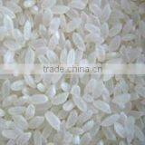 Vietnamese Short Grain White Rice, 5% Broken thumbnail-1
