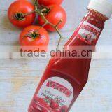 Fresh Tomato Ketchup Buyer thumbnail-6