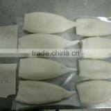 IQF Squid Tube Fish Todarodes Pacificus thumbnail-3