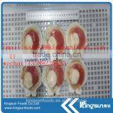Frozen Sea Scallop on Hot Sale thumbnail-5