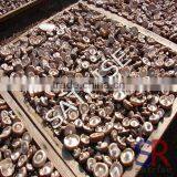 Industrial Commercial Mushroom/fruit/microwave Drying Machine Price thumbnail-4