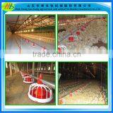 Whole Poultry Automatic Feeding System Feed Line for Broilers and Breeders thumbnail-6