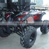 Small Beach Buggy Truck For Young Man Race On Beach thumbnail-5
