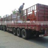 Hay Cutter Model 9ZP-6.0 Simple Farm Machines thumbnail-6