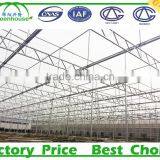 Commercial Metalic Greenhouse thumbnail-4