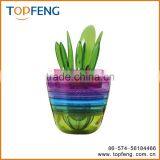 FRUIT TOOLS / FRUIRTS PLANT / KITCHEN TOOLS thumbnail-1