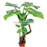 SJ0301115 Ornamental Landscaping Aquarium Plants Garden Decorative Green Plants thumbnail-2