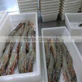Frozen Shrimp and Seafood Trading thumbnail-1