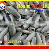 HGT FROZEN ROUND SCAD thumbnail-1