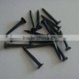 Iron Shoe Nails thumbnail-5