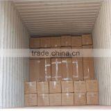 Mold Resistant Canvas Swag Tent 1-2 Person Watertproof