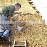 Thatch Roof Materials Water Reed thumbnail-4