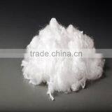 PTFE White Staple Fiber