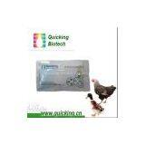 Avian Influenza Virus Ab Rapid Test thumbnail-2