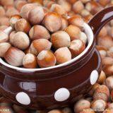 Осушитель лесной ореха thumbnail-4