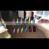 Easy Apply Nail Art Pint 3D Cats Eye Chameleon Magnetic Pigments Powder