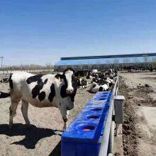 FEELFREE 2.2m Water Trough for Cattle and Sheep Drinking thumbnail-2
