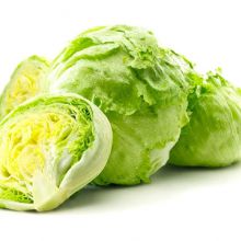 Hybrid Iceberg lettuce seeds with competitive price