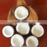 Highclass Coconut From South India thumbnail-6