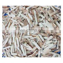 Good Quality IQF Frozen Illex Squid Strips