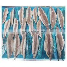 Wholesale Frozen Steamed Mackerel Fillet Block thumbnail-1