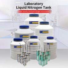 Guyana liquid nitrogen storage vessel KGSQ lab dewar