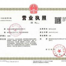Business License