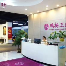 Shenzhen Plempire 3D Tech. Co., Ltd.