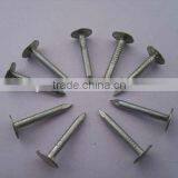 Big Head Clout Nail thumbnail-3