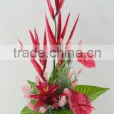 High quality Anthuriums plants for sale/wholesale artificial flower for home decoration