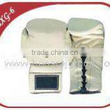 Training Boxing Glove