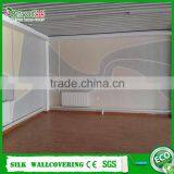 DIY Plant Fiber Wall Coating Interior Silk Plaster Wall Coat Fuji Mural Wall Covering thumbnail-6