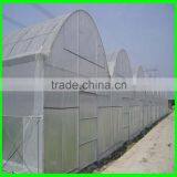 Large Size and Multi-Span Agricultural Greenhouses Type Green House Anti Insect Netting thumbnail-5