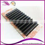 Top Quality Wholesale Price Eyelash Extension thumbnail-2