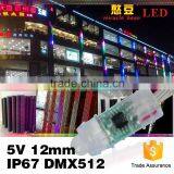 High Quality Outdoor 5050 SMD Full Color Dmx 12mm Led Pixel Rgb for Amusement Park Ride