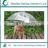 Hot Sale High Quality Pet Umbrella With Transparents Waterproof Mini Umbrella Cover thumbnail-3