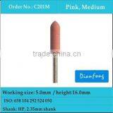 Dental Polishing for Resin