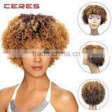 Hot Sales Top Quality Brazilian Afro Kinky Curly Human Hair Lace Front Wig on Sale thumbnail-1