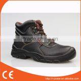 Desiccant Safety Boots R393