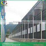 Sawtooth Type Attached Greenhouse Large Greenhouse thumbnail-2