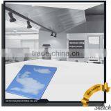 600X600 Foshan Decorative Aluminium Ceiling Tiles