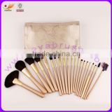 Professional Cosmetic Brush Set With 21Pcs