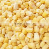 Supply chinese iqf frozen yellow corn sweet corn kernels