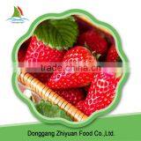 Frozen Iqf Strawberry thumbnail-1