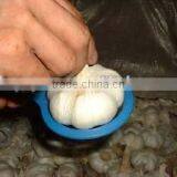 Best Offer Chinese Fresh Normal White Garlic thumbnail-1